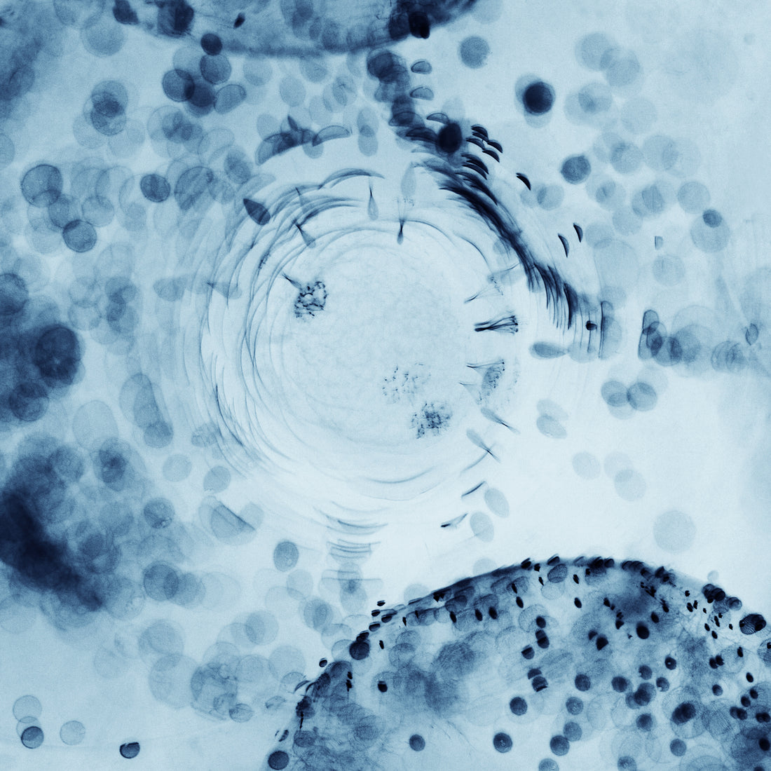 MAGNEZYUM